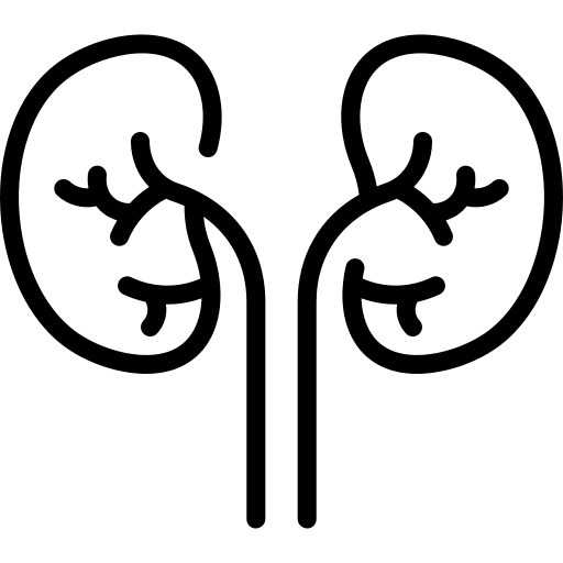 Ícone de rins — hidronefrose